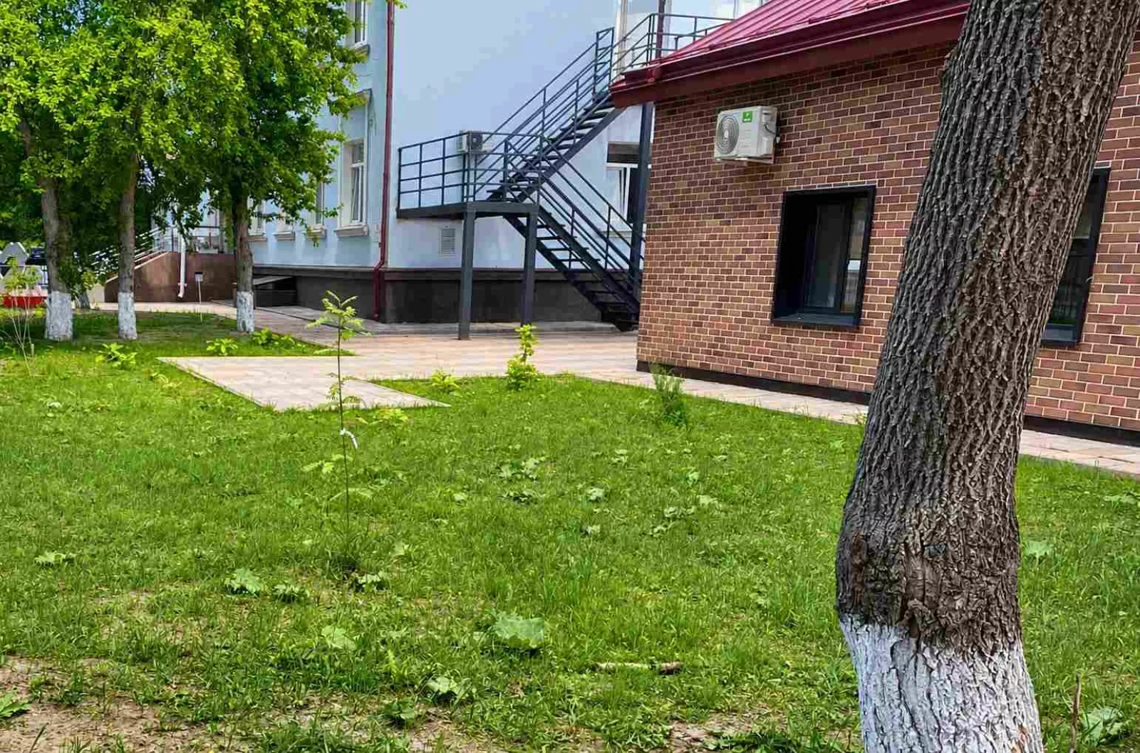 Благоустройство территории коммерческого здания — фото 3