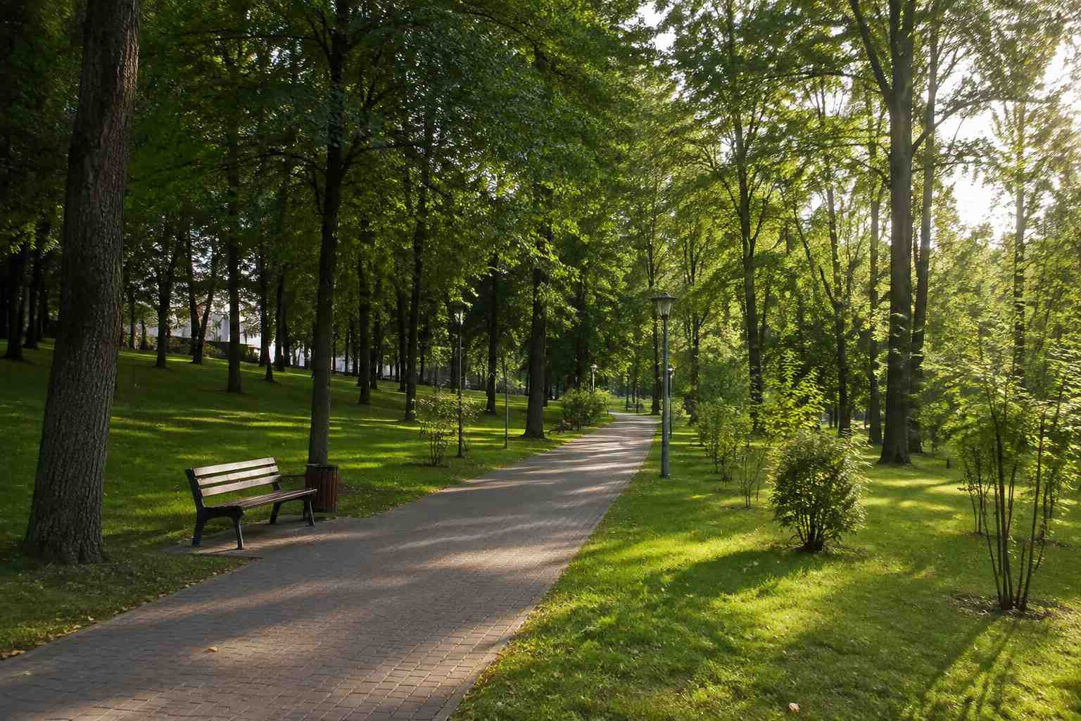 https://habarovsk.blago-s.ru/storage/app/uploads/public/6a7/eef/ed2/6a7eefed2af22038960370.jpg